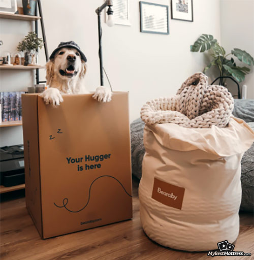 Thorough Bearaby Review Things You Must Know Before Buying