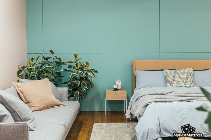 Bedroom plants: bedroom setting with a plant in the corner Bedroom plants: bedroom setting with a plant in the corner