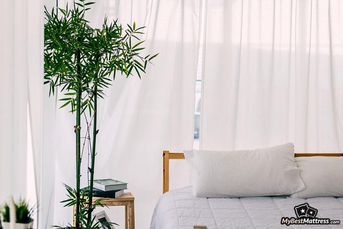 Best bamboo sheets: a room with a bed and a bamboo tree.