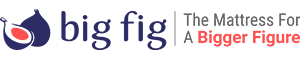 Big Fig Mattress Reviews