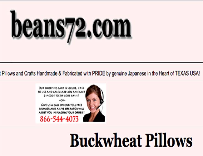 Beans72 Pillow Review Beans72 Pillow Review