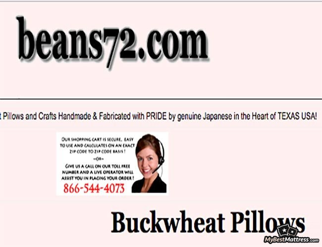 Beans72 Pillow Review Beans72 Pillow Review