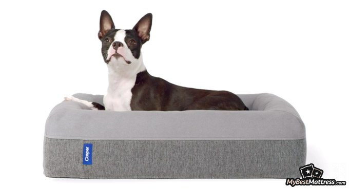 Best dog beds: Casper dog bed. Best dog beds: Casper dog bed.