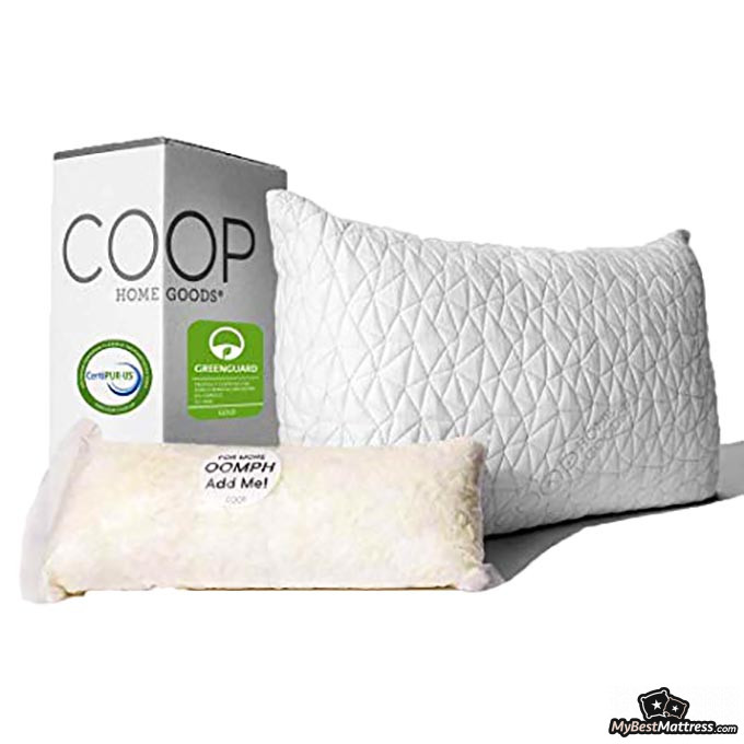 Coop Home Goods Pillow Review Coop Home Goods Pillow Review