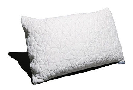 Coop Home Goods Pillow Review Coop Home Goods Pillow Review