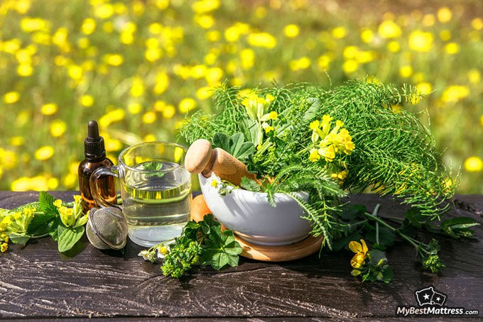 home remedies for bed bugs: herbs