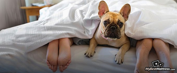 Hyphen mattress reviews: family sleepig on Hyphen mattress. Hyphen mattress reviews: family sleepig on Hyphen mattress.