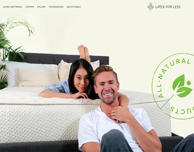 Latex for Less Pillow Review Latex for Less Pillow Review