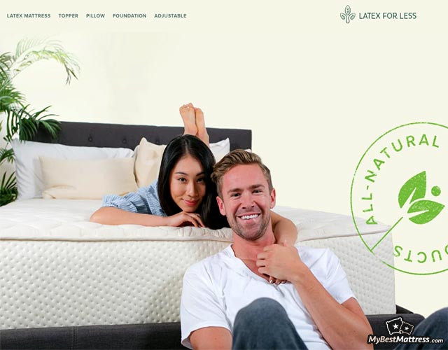 Latex for Less Pillow Review Latex for Less Pillow Review