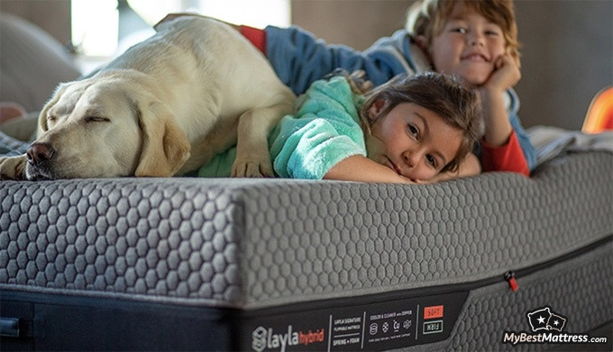 Luma Mattress Review: two children and a dog on the mattress