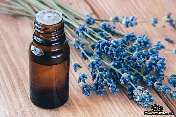 Essential oils for sleep: lavender essential oil Essential oils for sleep: lavender essential oil