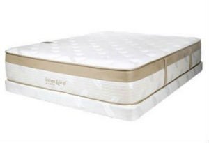 Best Firm Mattress 2024 - Top 7 Firmest Mattress Options (Updated)