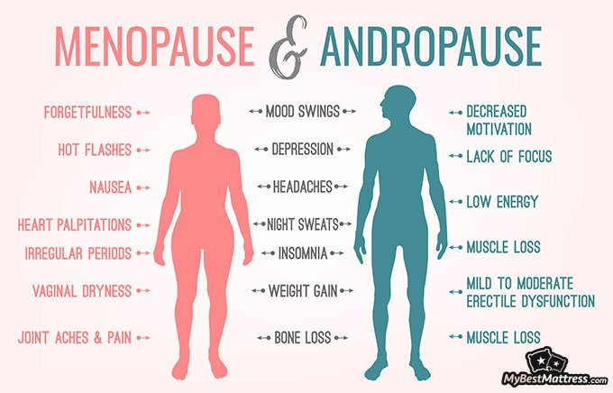 What causes night sweats: symptoms of menopause What causes night sweats: symptoms of menopause