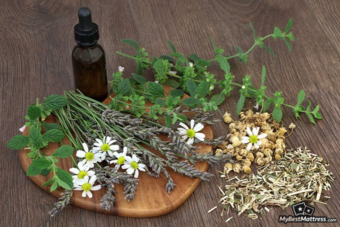 Natural sleep aid: few medicine herbs displayed alongside essential oil Natural sleep aid: few medicine herbs displayed alongside essential oil