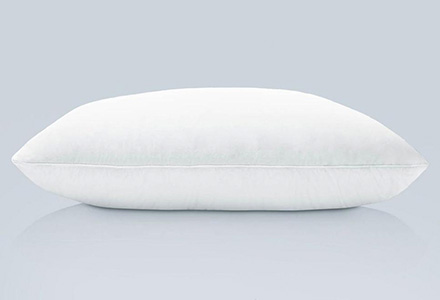 PlushBeds Down Pillow Review PlushBeds Down Pillow Review