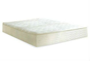 PlushBeds Review PlushBeds Review