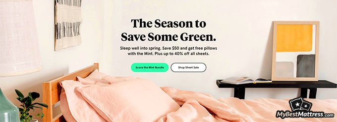 Tuft and Needle mattress review: front page.